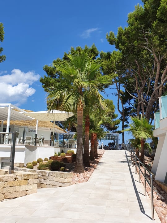 Sonstiges Iberostar Waves Playa de Muro