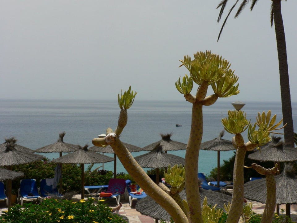 Ausblick von der Terrasse SBH Club Paraiso Playa