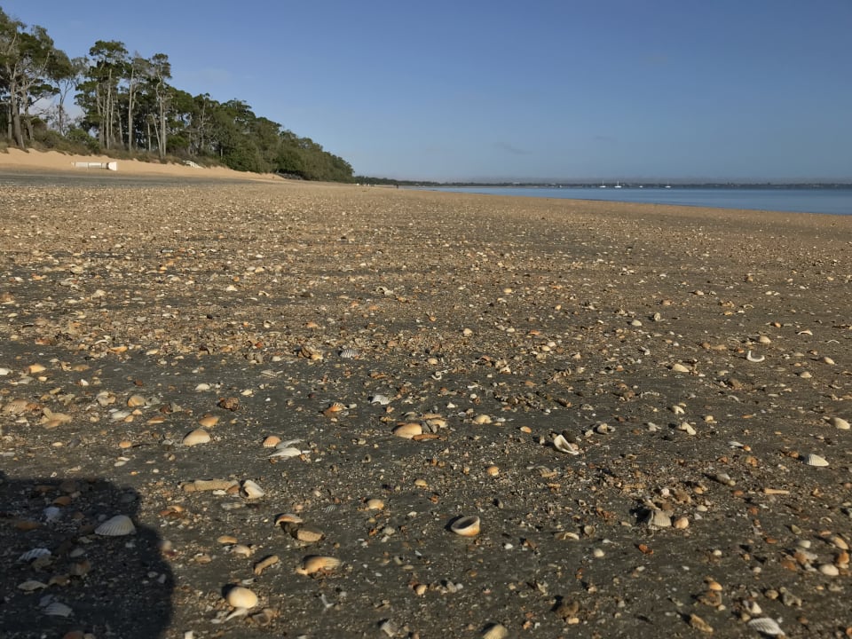 Strand Motel Shelly Beach