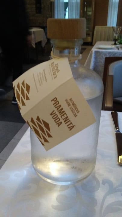 Gastro Zámek Ratměřice - Hotel & Resort