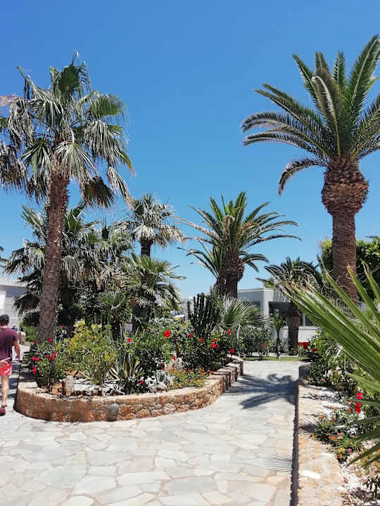 Gartenanlage Lyttos Beach Hotel