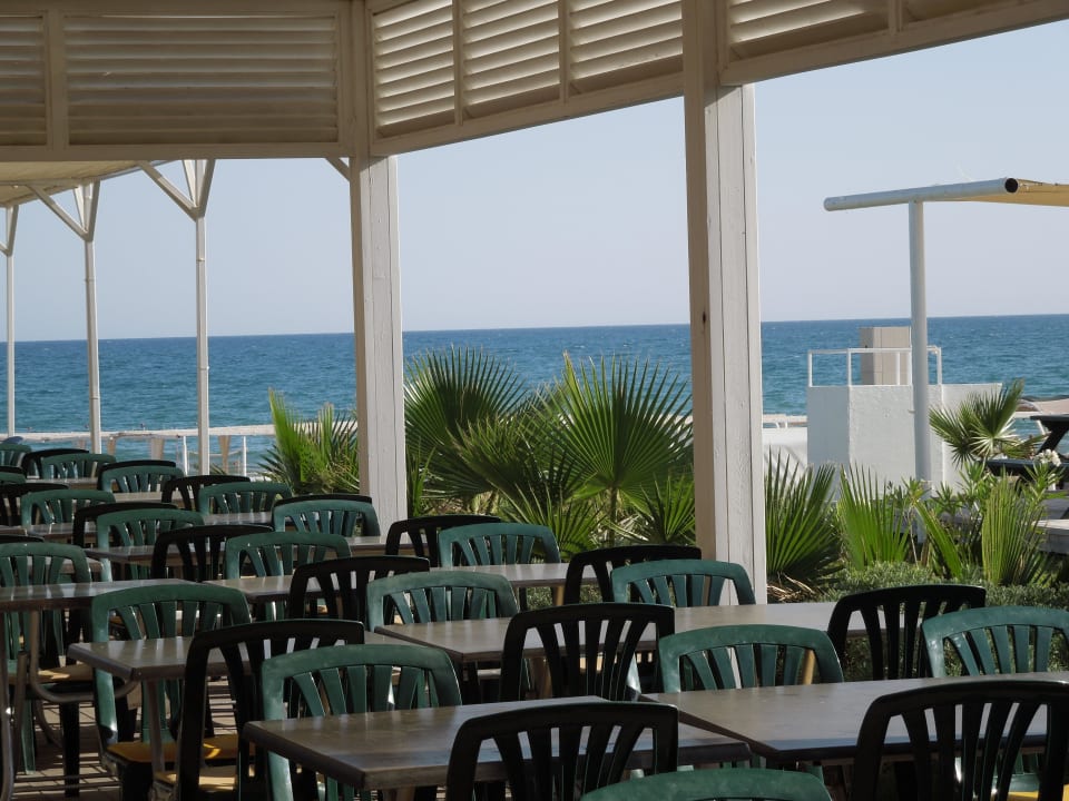 Strandbar Hotel Orfeus Park