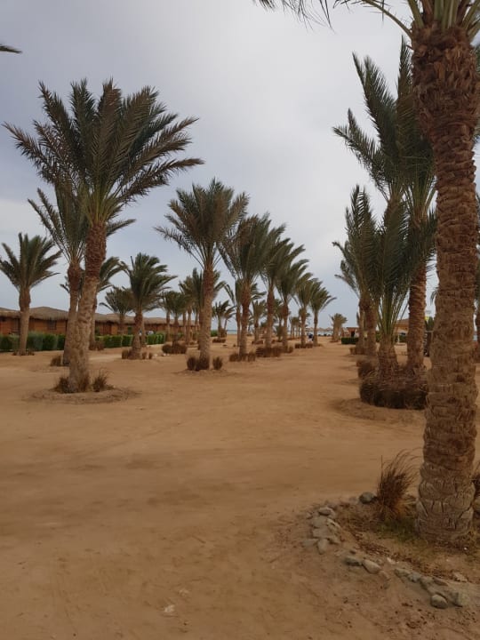 Strand LABRANDA Royal Makadi