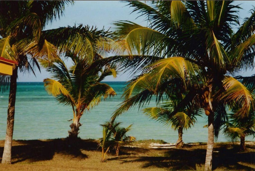 Villa Cojimar Sercotel Club Cayo Guillermo
