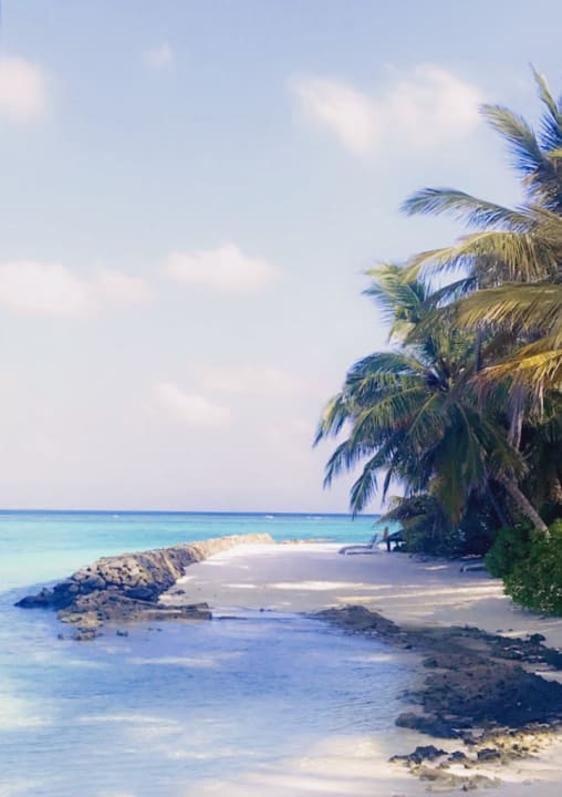 Strand Summer Island Maldives