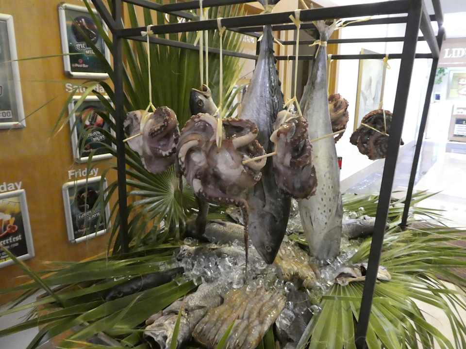 Gastro Alba Queen Hotel