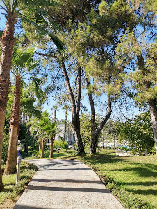 Gartenanlage Club Sidelya Hotel