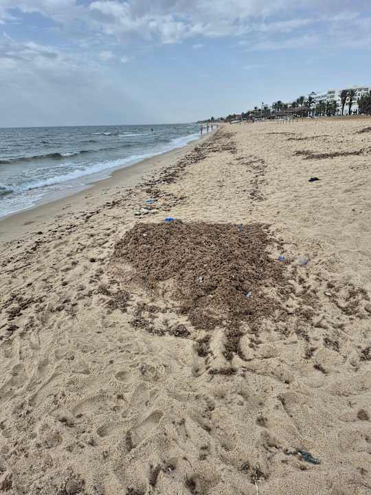 Strand Medina Solaria & Thalasso