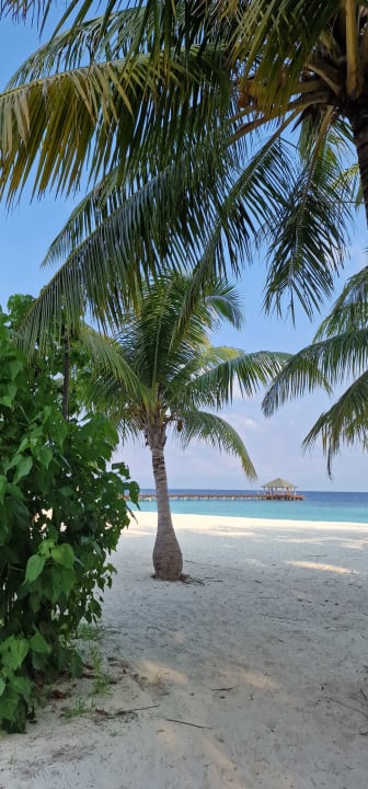 Ausblick Adaaran Select Meedhupparu Island Resort - Premium All Inclusive