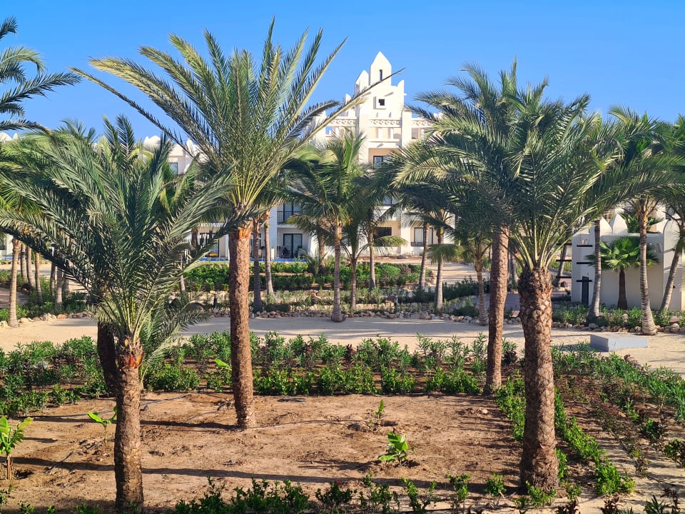 Gartenanlage Hotel Riu Karamboa