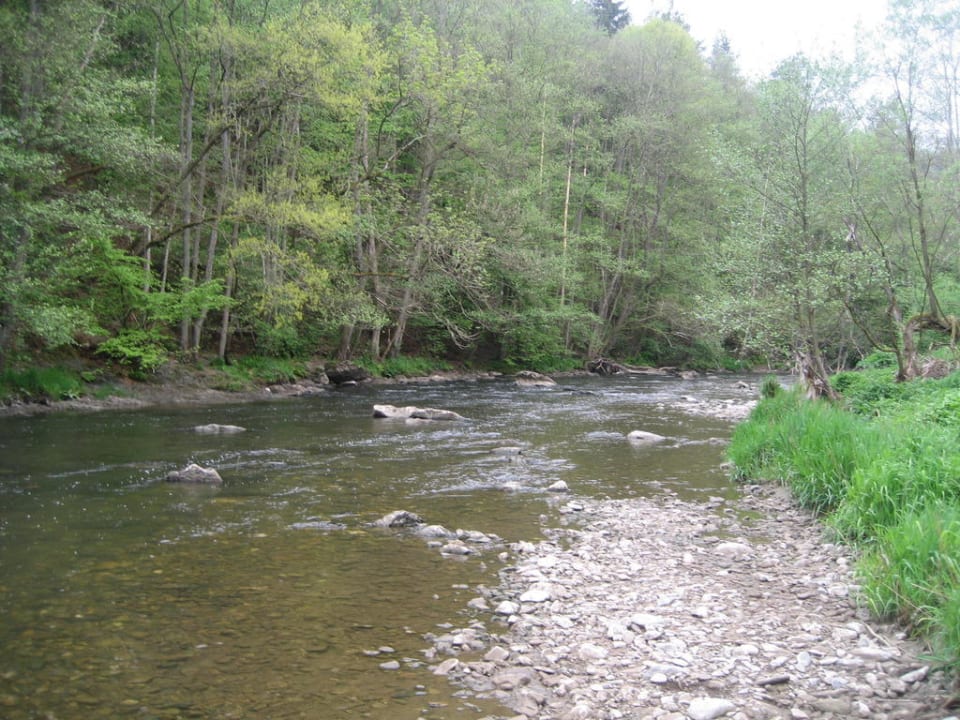 Ambleve Ferienpark Domaine Long Pré