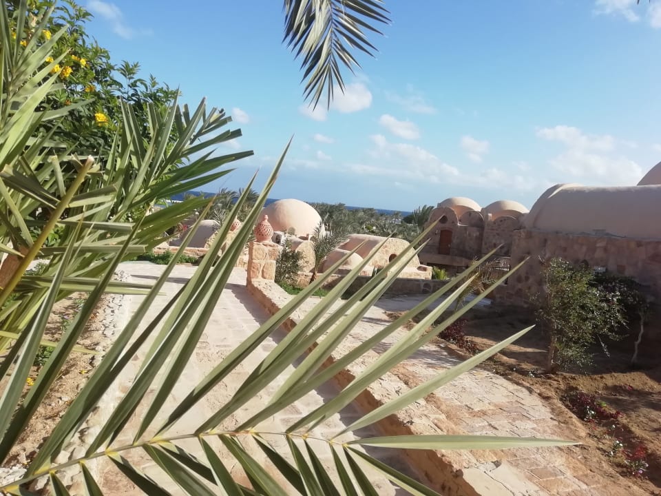 Ausblick Pensée Royal Garden Beach Resort