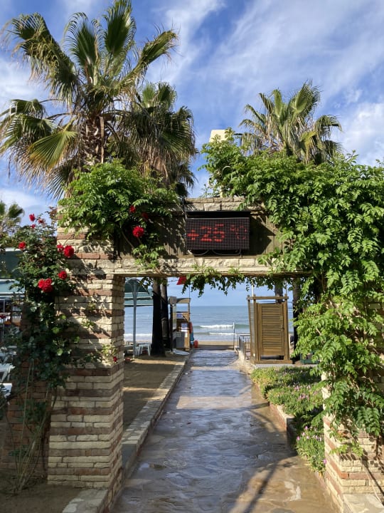 Gartenanlage Trendy Palm Beach (Adults Only, 16+)