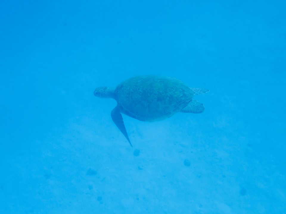 Strand Utopia Beach Club