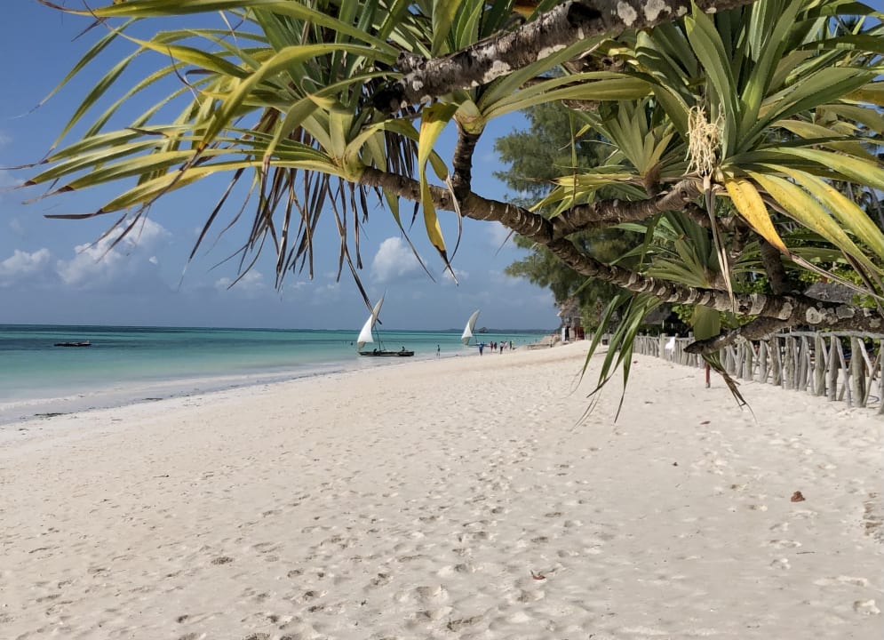 Strand Ocean Paradise Resort & Spa