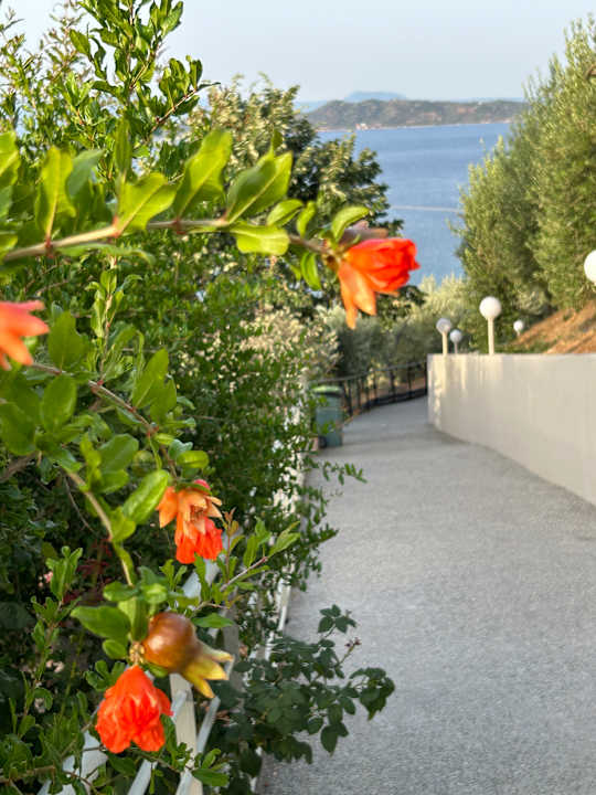 Sonstiges Akrathos Beach Hotel