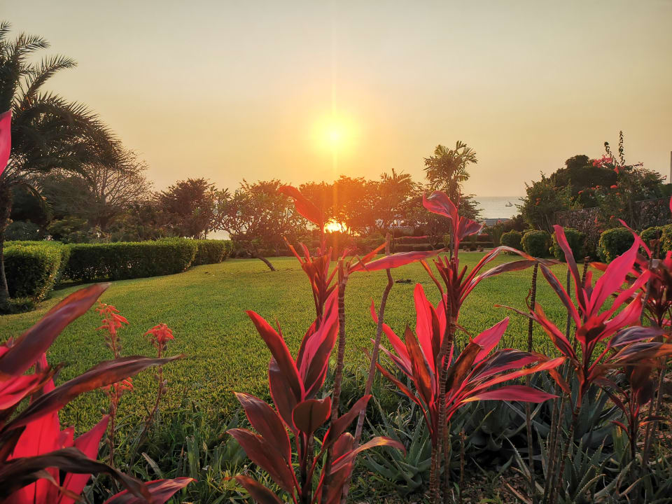 Gartenanlage Hotel Riu Palace Zanzibar