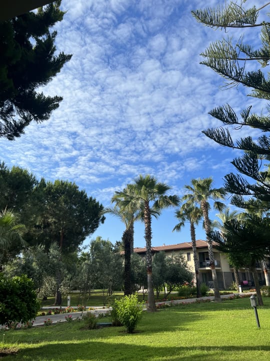 Gartenanlage TUI BLUE Palm Garden
