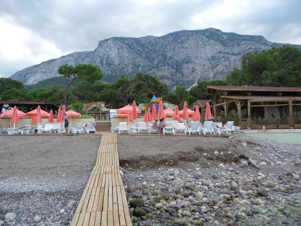 Strand vor Beach Bar Crystal Flora Pearl Collection