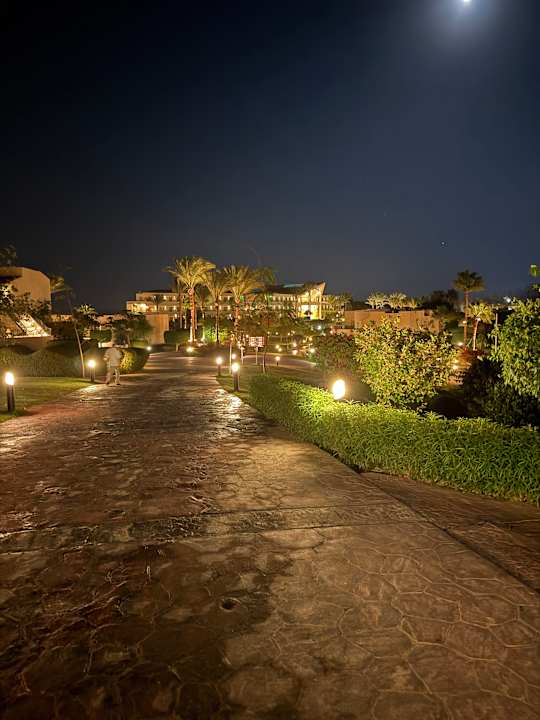 Gartenanlage Cleopatra Luxury Beach Resort Makadi Bay - Adults only