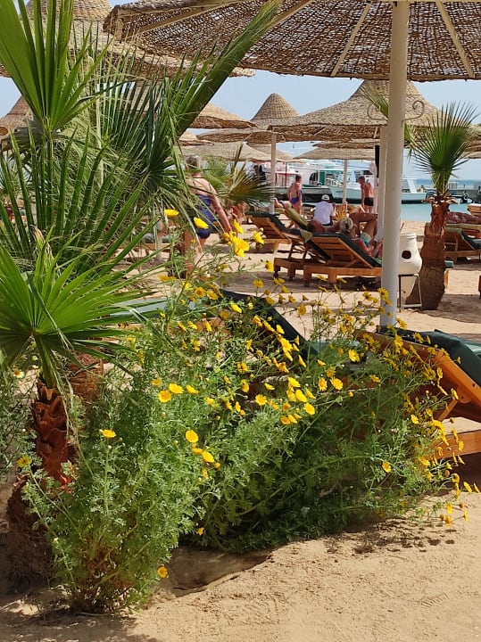 Strand Giftun Azur Resort