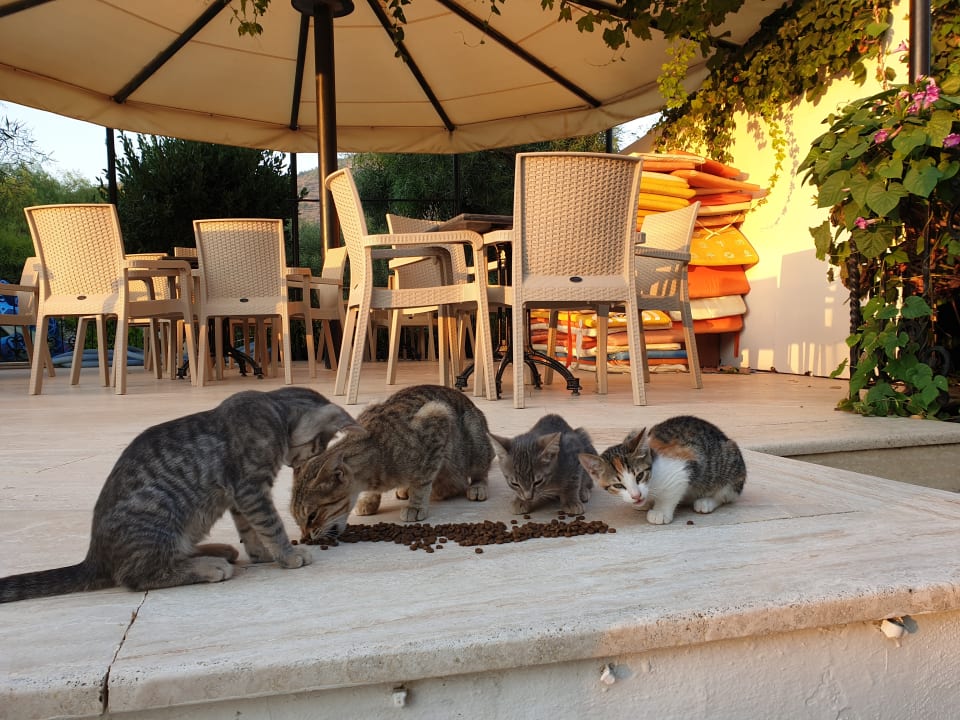 Sonstiges Dogan Paradise Beach