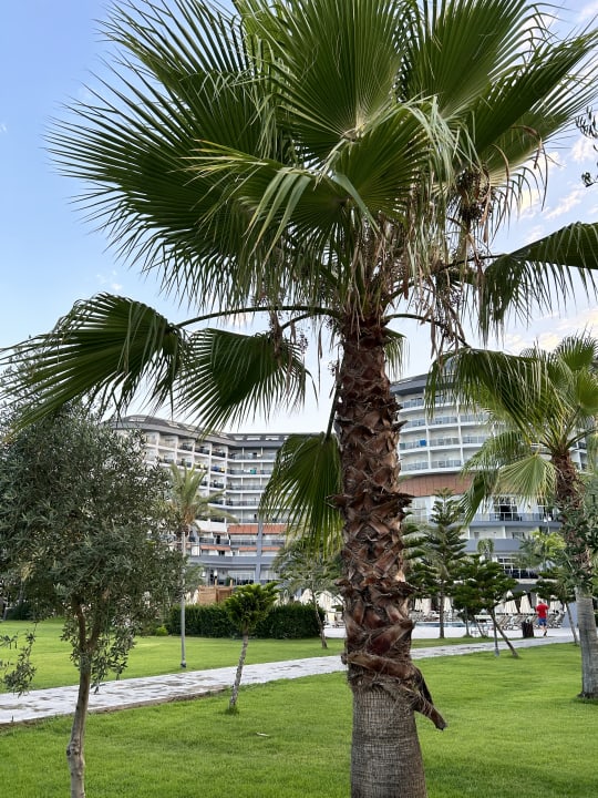 Gartenanlage Seaden Sea Planet Resort & Spa
