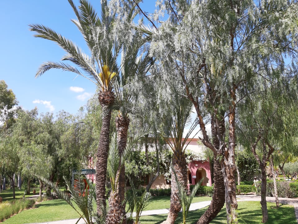 Gartenanlage Iberostar Waves Club Palmeraie Marrakech