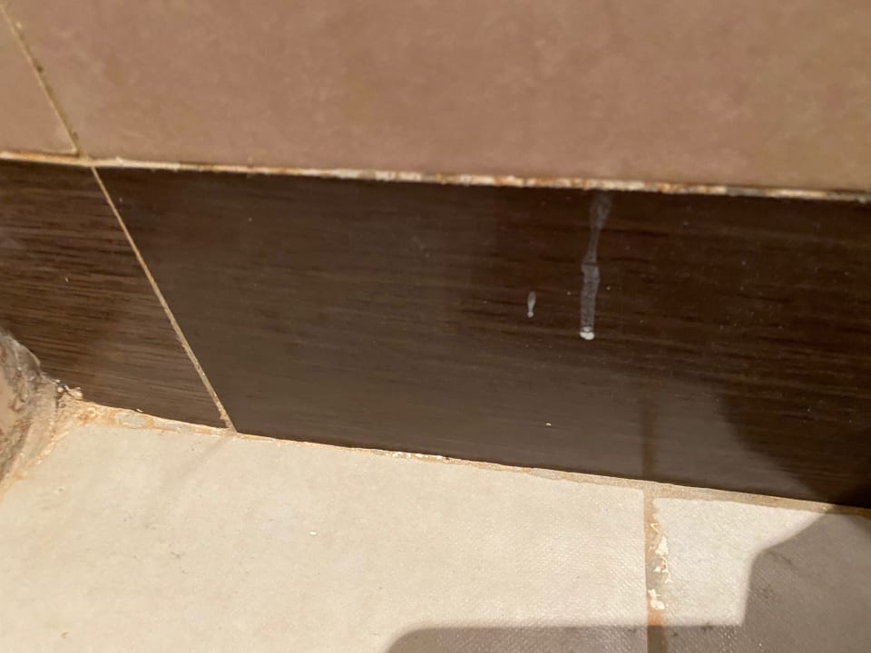 Zimmer TUI MAGIC LIFE Penelope Beach