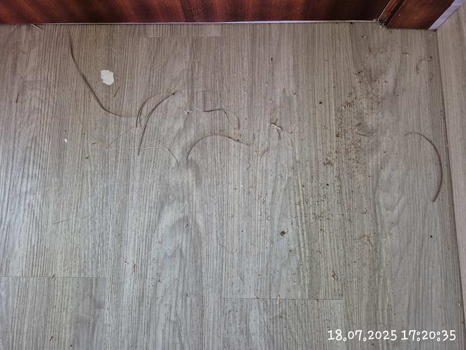 Zimmer SBH Hotel Taro Beach