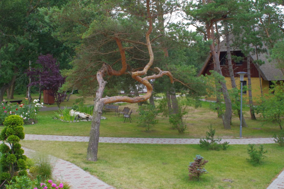 Blick in den Garten vom Zimmer aus Ostseehotel Wustrow