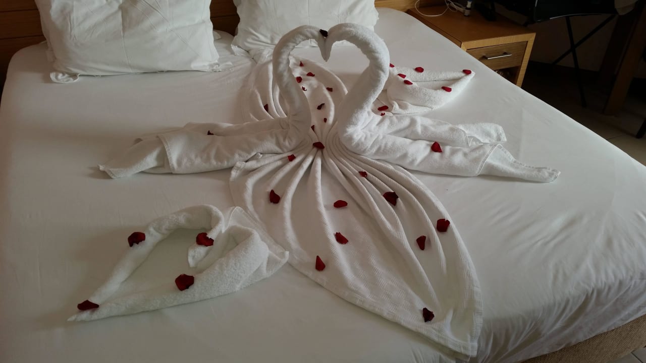 Danke liebes Zimmermädchen Remi Hotel