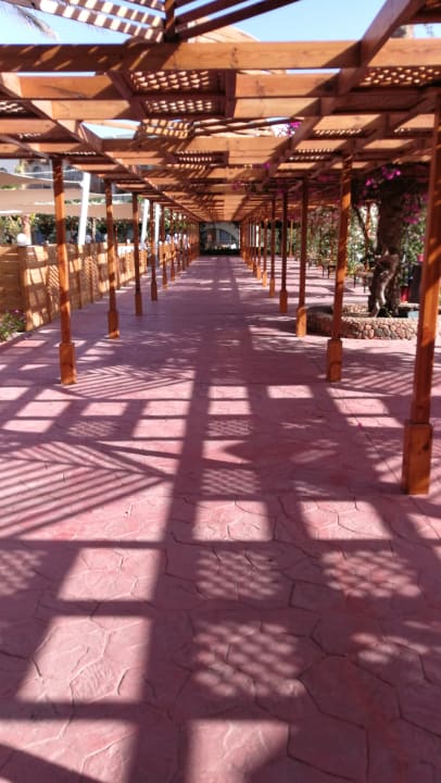 Ausblick Desert Rose