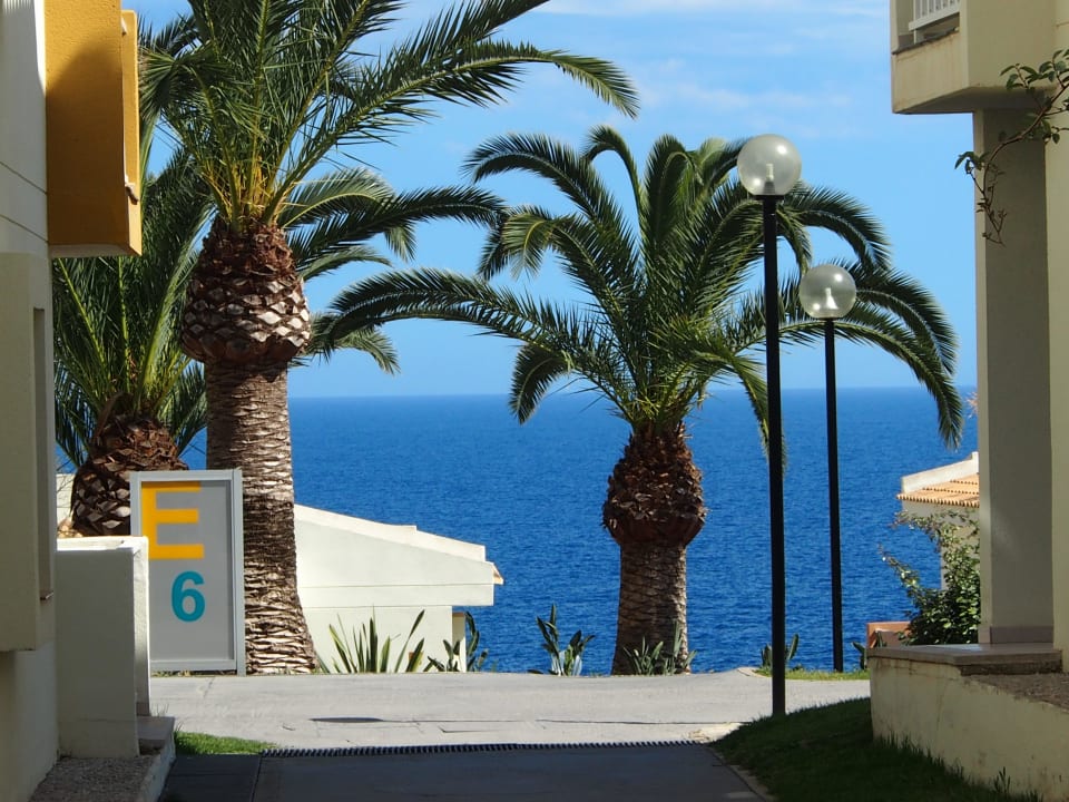 Gepflegte Anlage blau punta reina