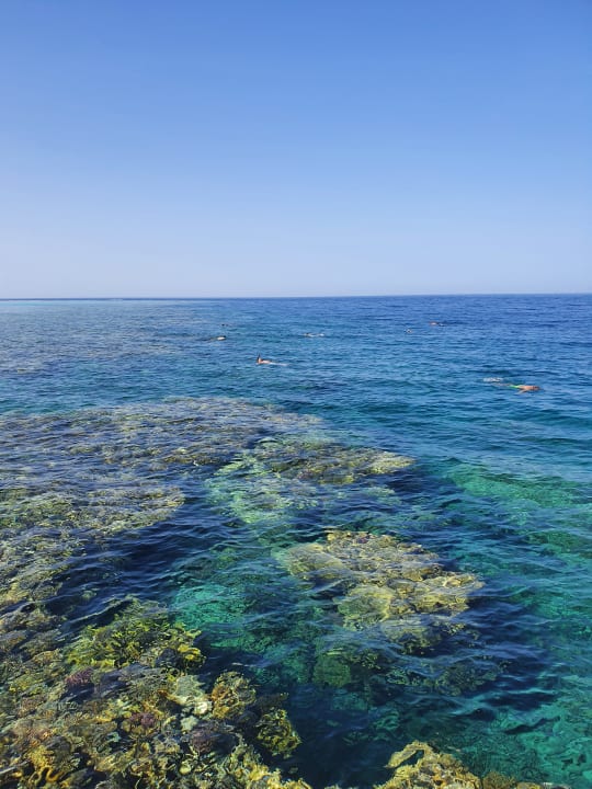 Strand Hotel Sheraton Soma Bay Resort