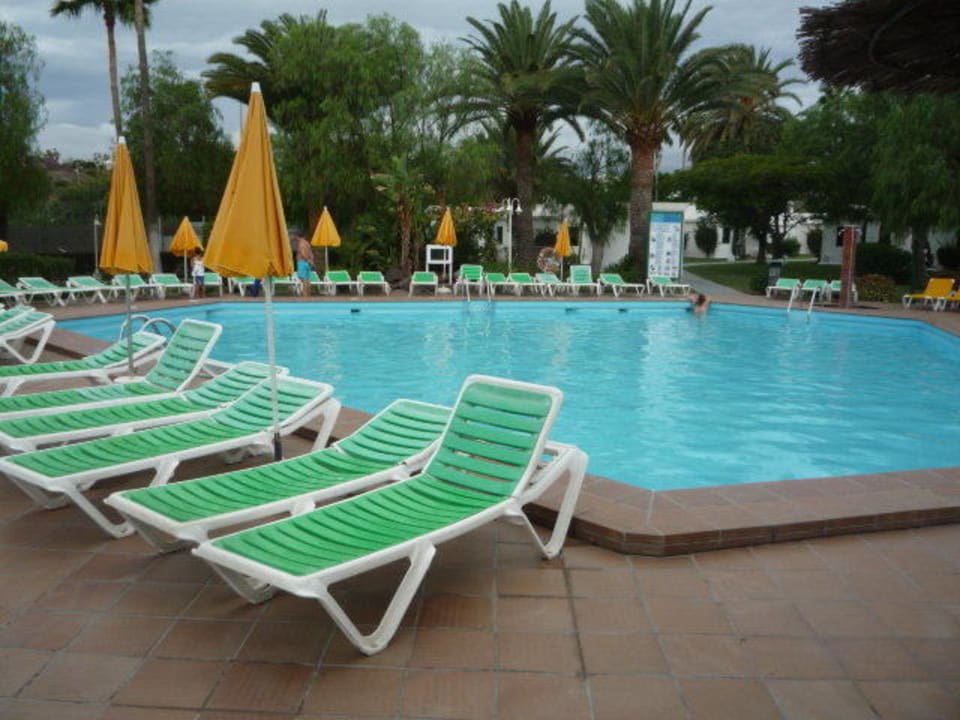 Es hat geregnet Canary Garden Club