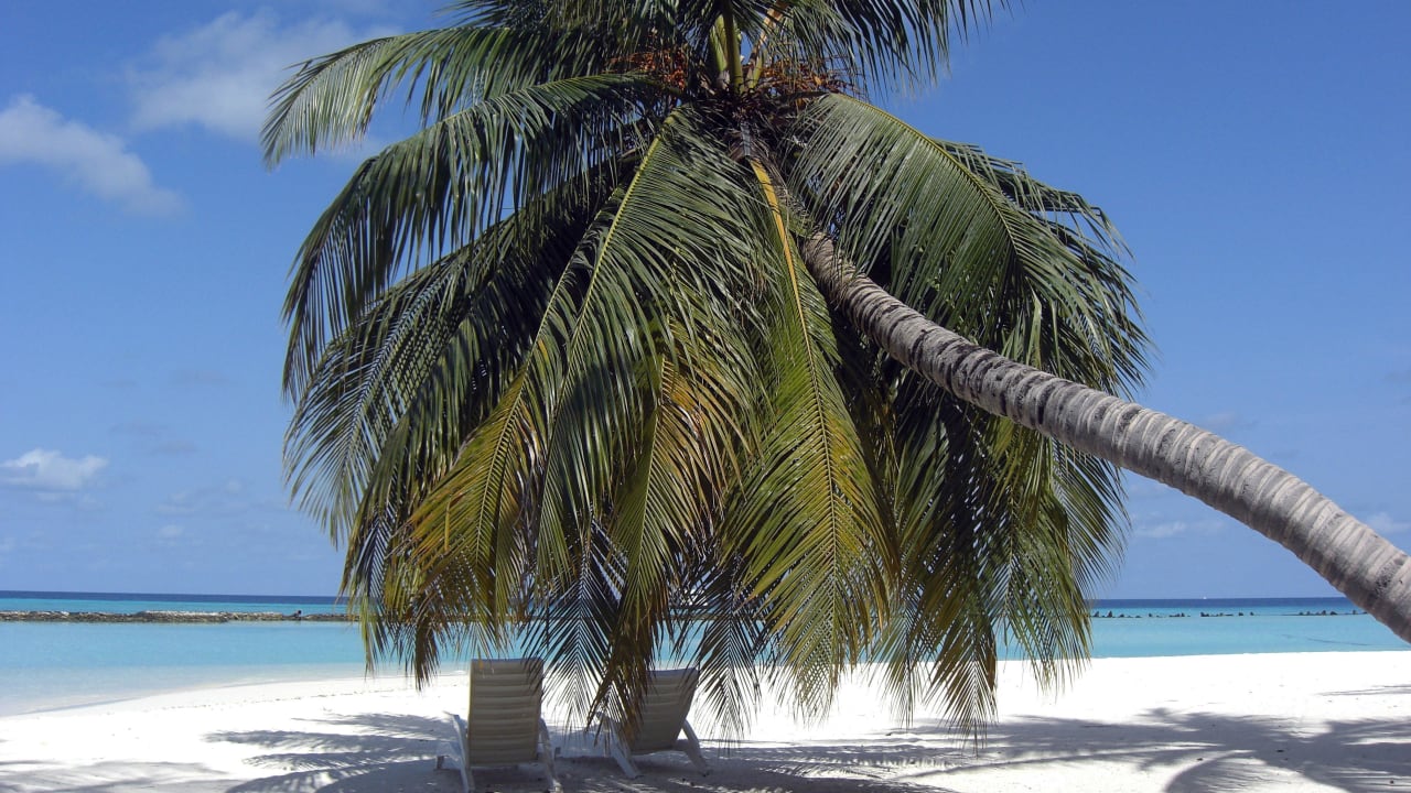 Der Strand Summer Island Maldives