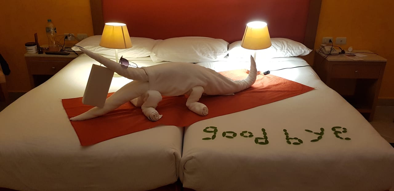 Zimmer Hotel Gorgonia Beach Resort