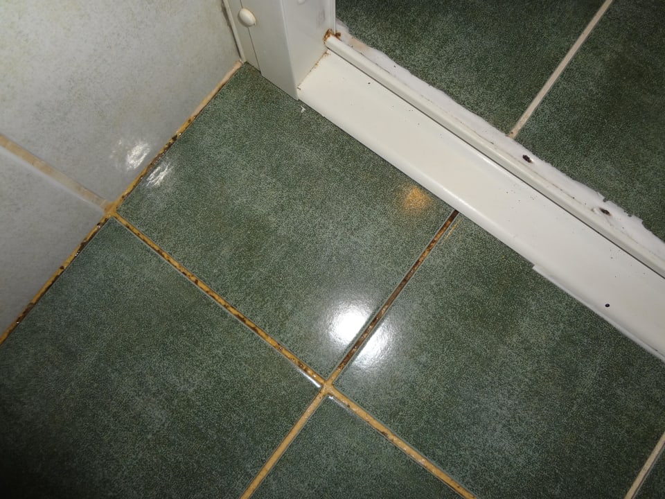 Dusche AQI Pegasos World