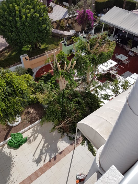 Baulärm Kettensäge am Nachmittag LABRANDA Marieta - Adults only