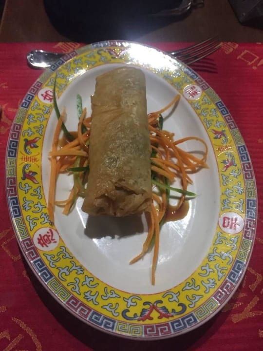 Vorspeise beim Chinesen... Frühlingsrolle Diamond Excellence Resort & Spa