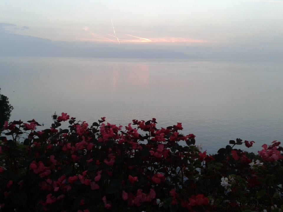 Einfach nur schön  Hotel Savoy Palace