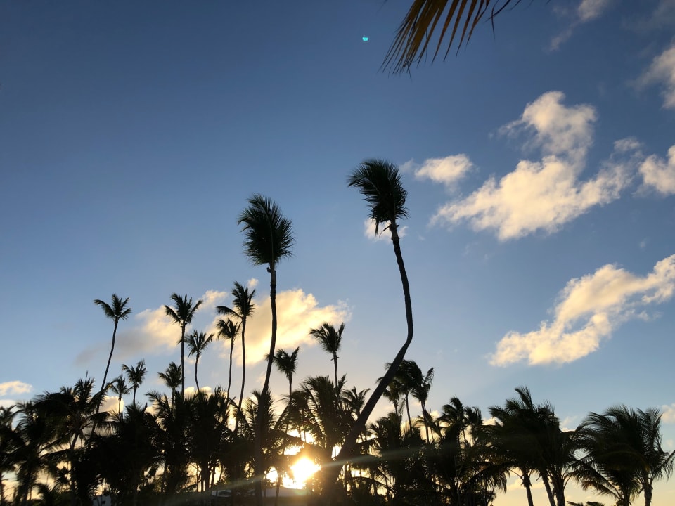 Sonstiges Lopesan Costa Bávaro Resort, Spa & Casino