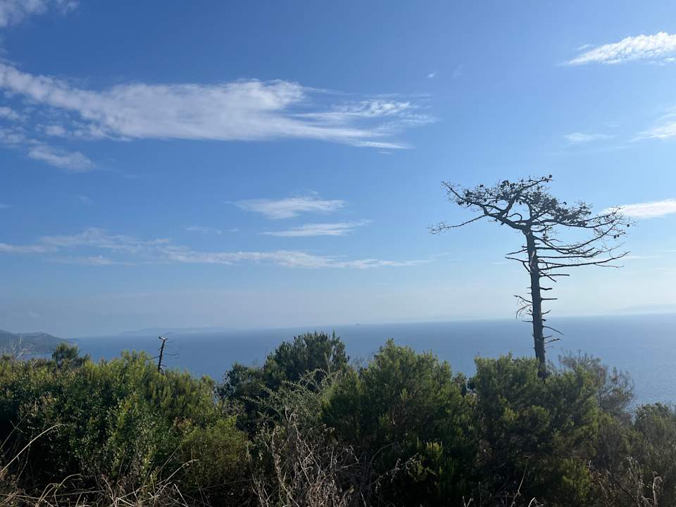 Ausblick Hotel Tenuta Delle Ripalte