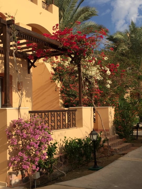 Anlage Steigenberger Coraya Beach - Adults only