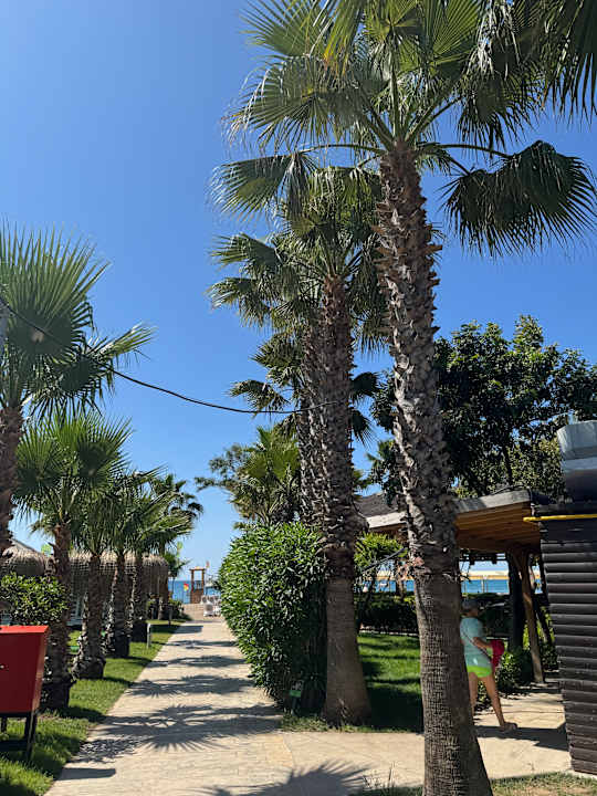 Gartenanlage Saturn Palace Resort Hotel