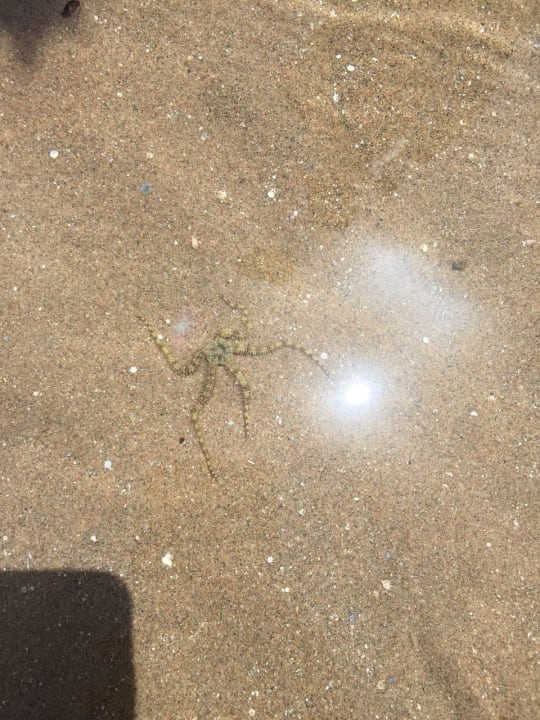 Strand Titanic Beach Spa & Aqua Park