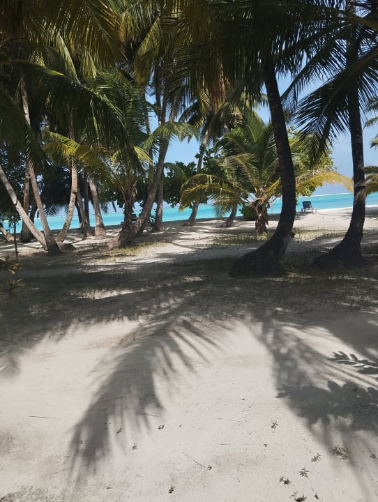 Strand Meeru Maldives Resort Island