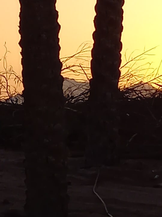 Sonstiges Jaz Makadi Saraya Resort
