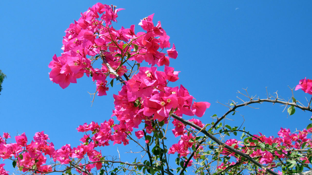 Ausblick Hotel Kalithea Horizon Royal